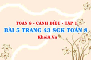 Bài 5 trang 43 SGK Toán 8 tập 1 Cánh Diều